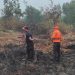 245,635 Hektare Lahan Terbakar di Tanjabtim, 252 Hotspot Terdeteksi