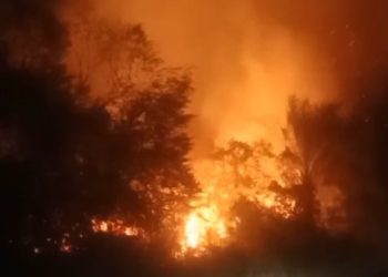 Bakar Sampah Tengah Malam, Lahan di Bukit Baling Muaro Jambi Terbakar