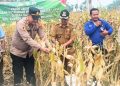 Pemkab Batang Hari Gelar Upacara Peringatan Hari Olahraga Nasional ke-43