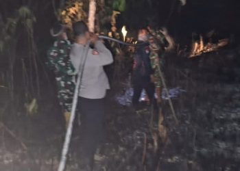 Polsek Sekernan Bersama BPBD dan Masyarakat Melakukan Pemadaman Kebakaran Lahan Perkebunan yang Terjadi di RT 11 Desa Bukit Baling