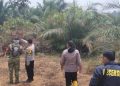 Kapolsek Pelepat Cek Hotspot di Kawasan PT CSH, Tidak Ditemukan Titik Api