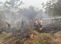 Kapolsek Pelepat Cek Hotspot di Kawasan PT CSH, Tidak Ditemukan Titik Api