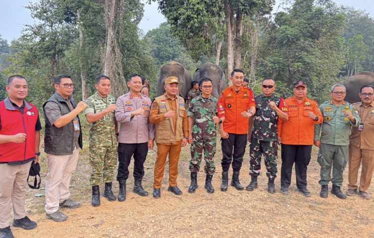 Polres Tebo Bersama BPBD Gerak Cepat Padamkan Karhutla di Kecamatan Sumay