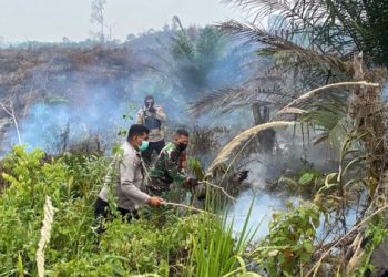 Karhutla di Renah Mendaluh Berhasil Dipadamkan, Polsek Merlung Terus Lakukan Pengawasan
