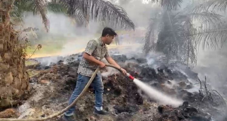 Respons Cepat Informasi Warga, Polsek Merlung Cek Tiga Titik Kebakaran Jangkos di PT IIS