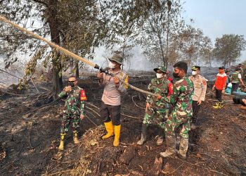 Polda Jambi Bersama Forkopimda Cek Langsung Lokasi Kebakaran di HLG Londerang