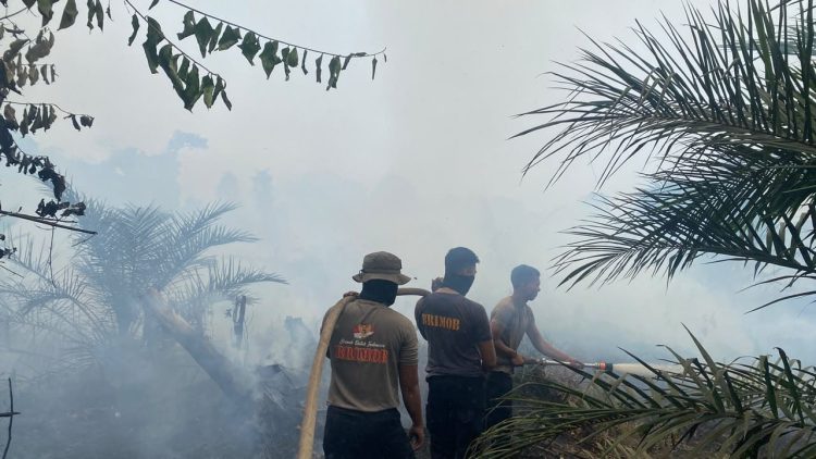 Satbrimob Polda Jambi Kerahkan 30 Personel Tangani Karhutla di Betara Tanjab Barat