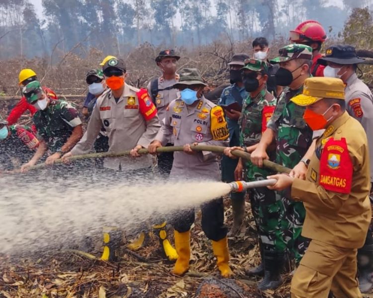 Gubernur Al Haris Bersama Pangdam TIB Turun ke Kawasan Gambut Londerang Padamkan Karhutla