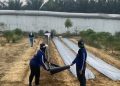 Lapas Perempuan Kelas IIB Jambi Manfaatkan Plastik Mulsa untuk Tingkatkan Produktivitas Lahan Pertanian