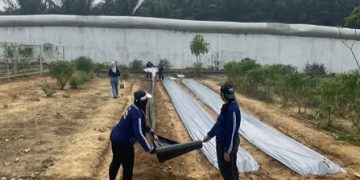 Lapas Perempuan Kelas IIB Jambi Manfaatkan Plastik Mulsa untuk Tingkatkan Produktivitas Lahan Pertanian