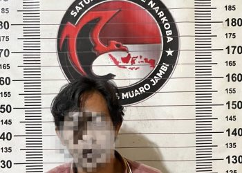 Satresnarkoba Polres Muaro Jambi Ungkap Kasus Penyalahgunaan Narkotika di Talang Duku, 12 Paket Sabu Diamankan