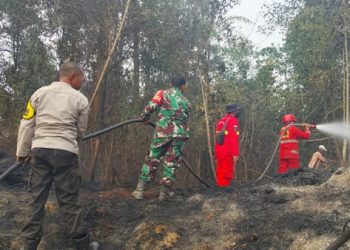 Tim Gabungan Padamkan Karhutla di Sungai Pulai Batanghari, Setengah Hektare Lahan Terbakar