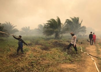 Tim Gabungan Terus Lakukan Pemadaman Karhutla di Kawasan TAHURA Sungai Aur Muaro Jambi