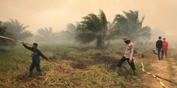 Tim Gabungan Terus Lakukan Pemadaman Karhutla di Kawasan TAHURA Sungai Aur Muaro Jambi
