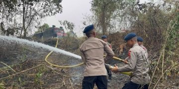 Respons Cepat, Personel Satbrimob Polda Jambi Padamkan Kebakaran Lahan di Merangin